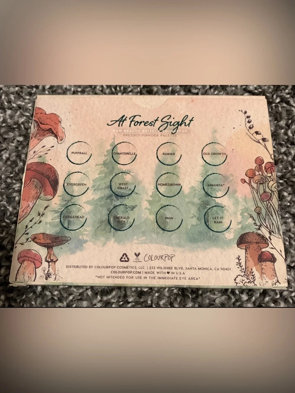 ColourPop Raw Beauty Kristi At Forest Sight eyeshadow palette Limited Edition
